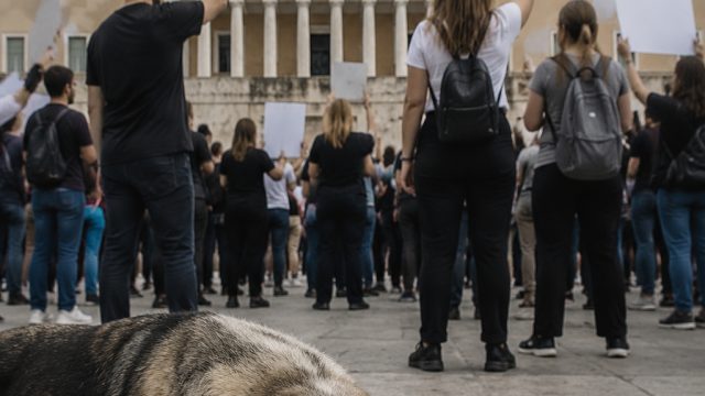 Animal Rights in Greece: A Call for Legal Reform After Recent Incident | calon4d rtp, pkv pakai puls